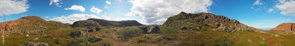 Tundra in the north of Russia. Panorama