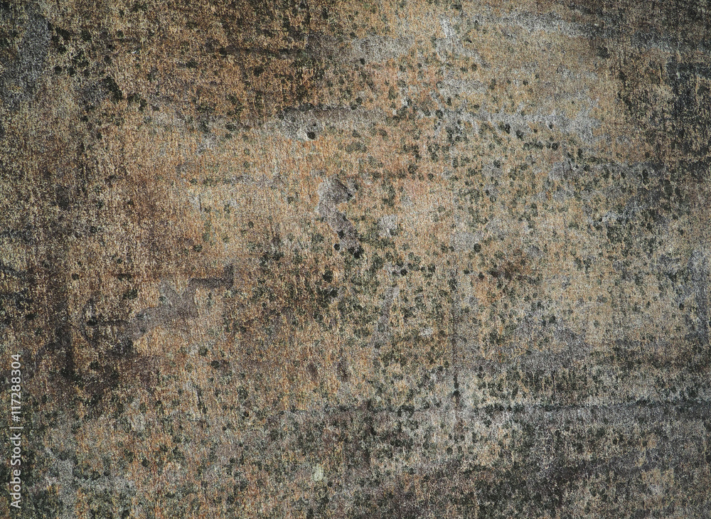 Fototapeta premium White Sea petroglyphs