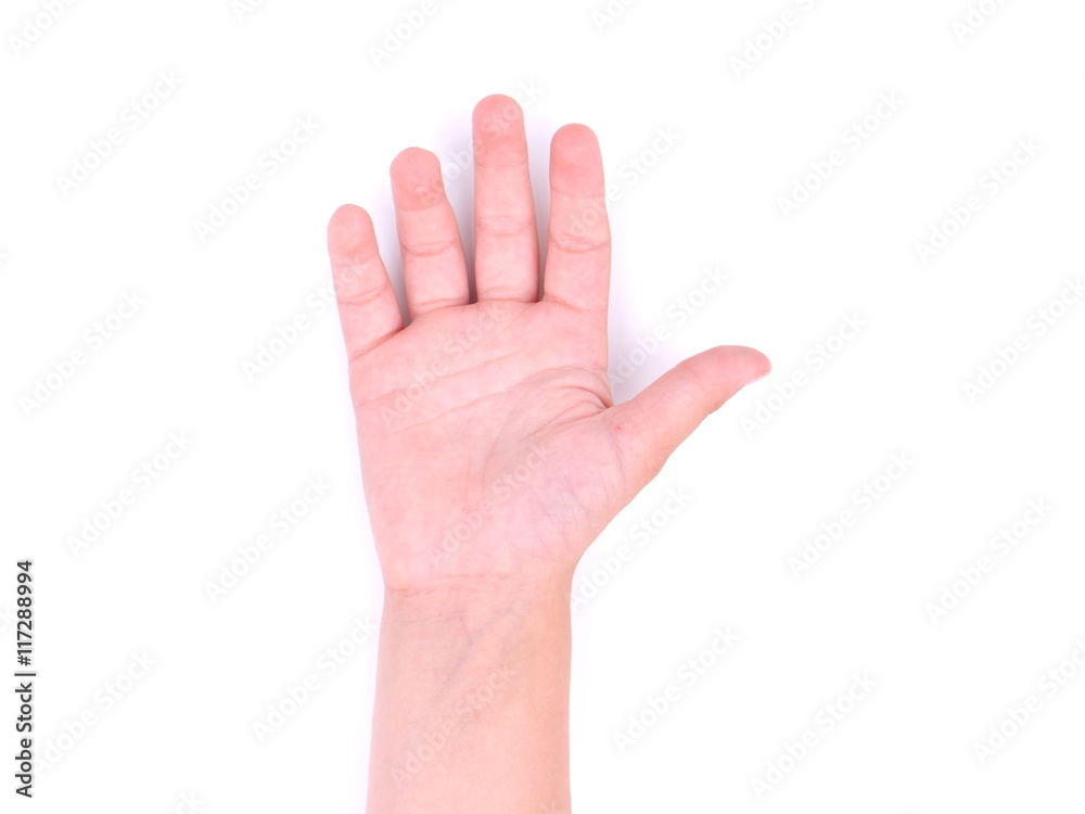 children's hands on a white background