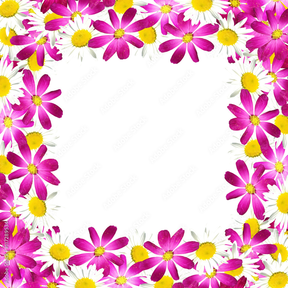 Beautiful floral background of purple and white flowers 