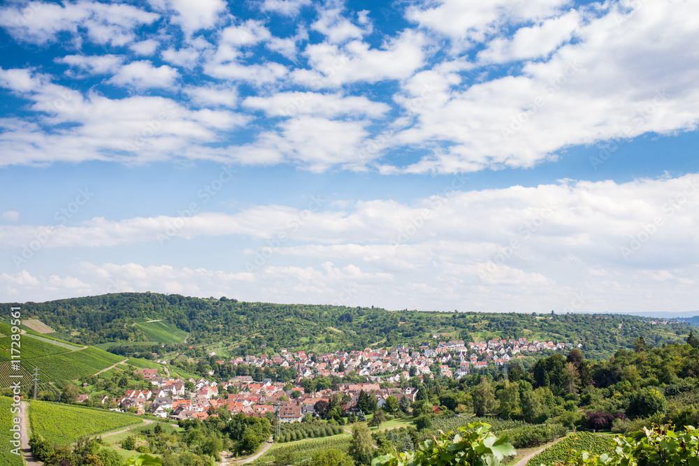 Obraz premium Beautiful geman wine fields landscape