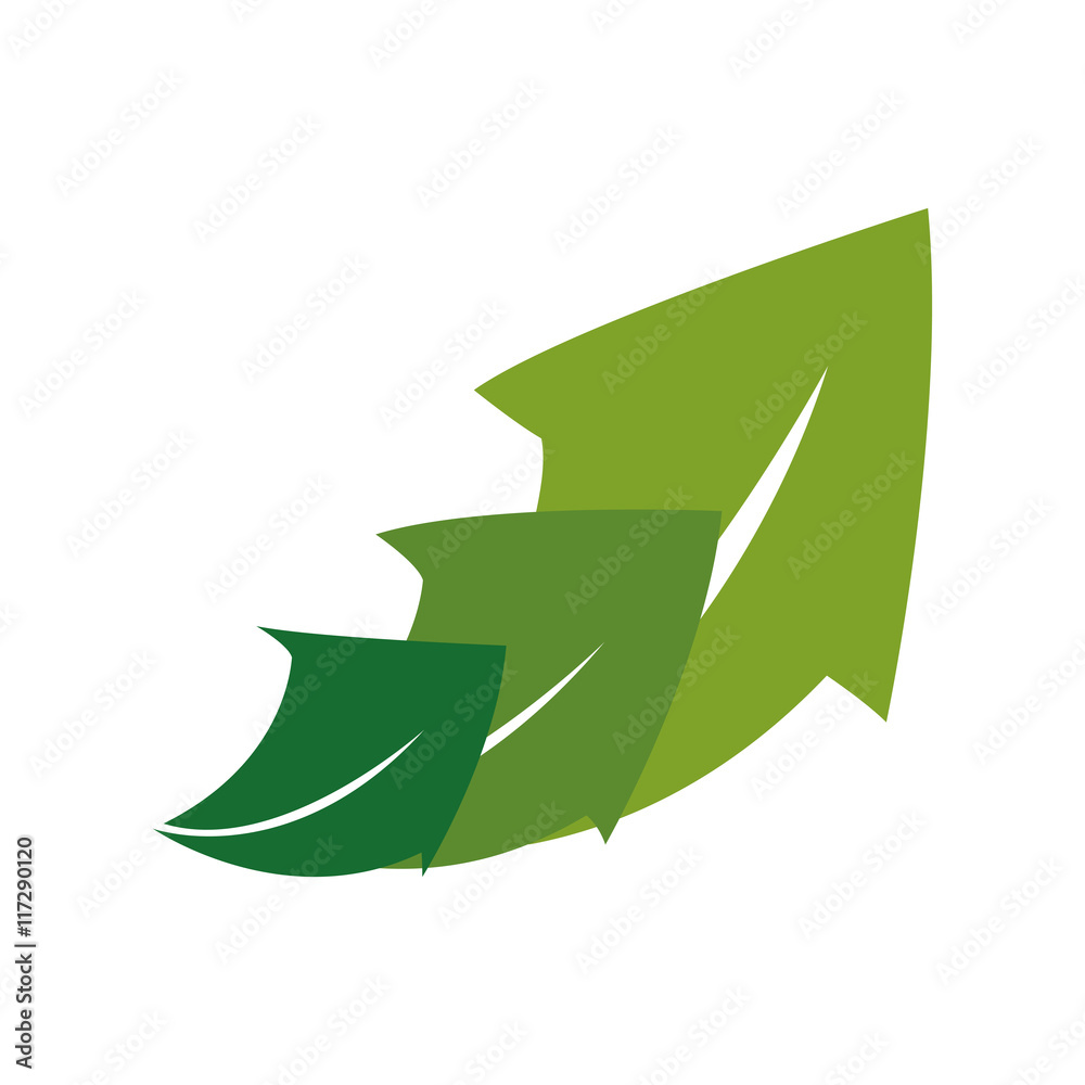 Premium Vector  Oakley o green leaf ecology nature element