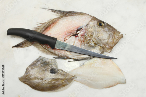 Filleted John Dory fish photo