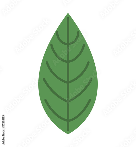 leafs floral nature icon