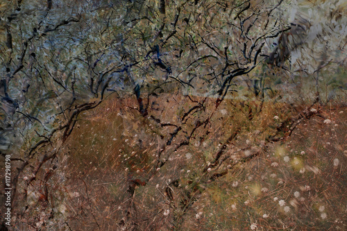 Trees reflected in puddles