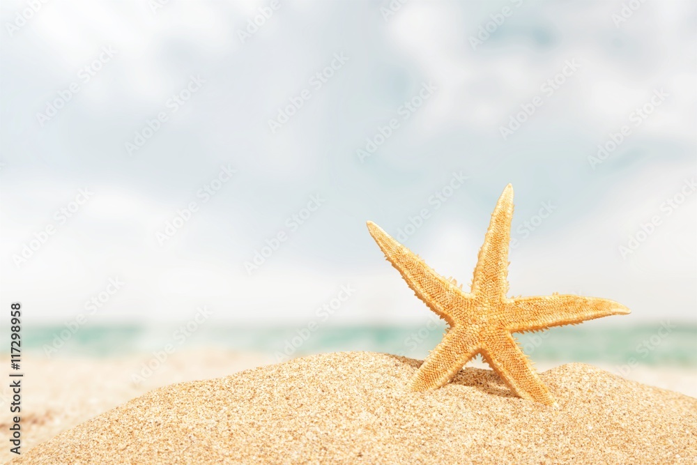 Beach. Beach.