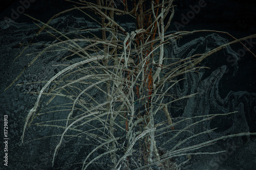 Entwined branches