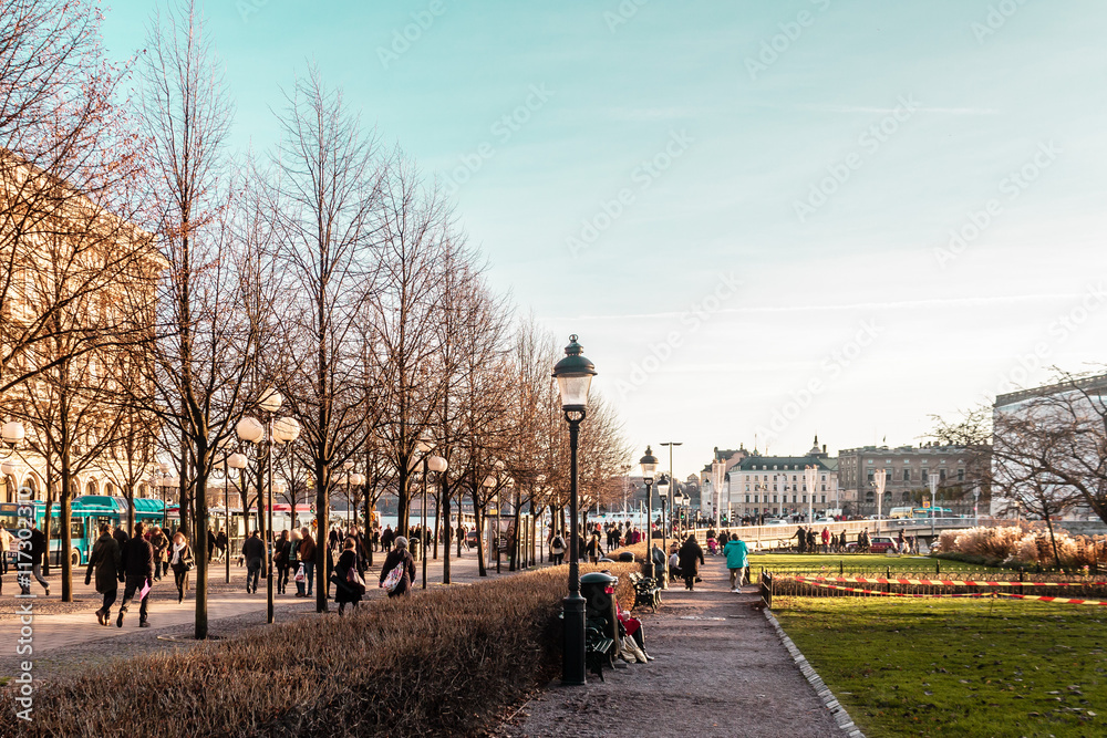 Park and Trees in Stockholm, Sweden