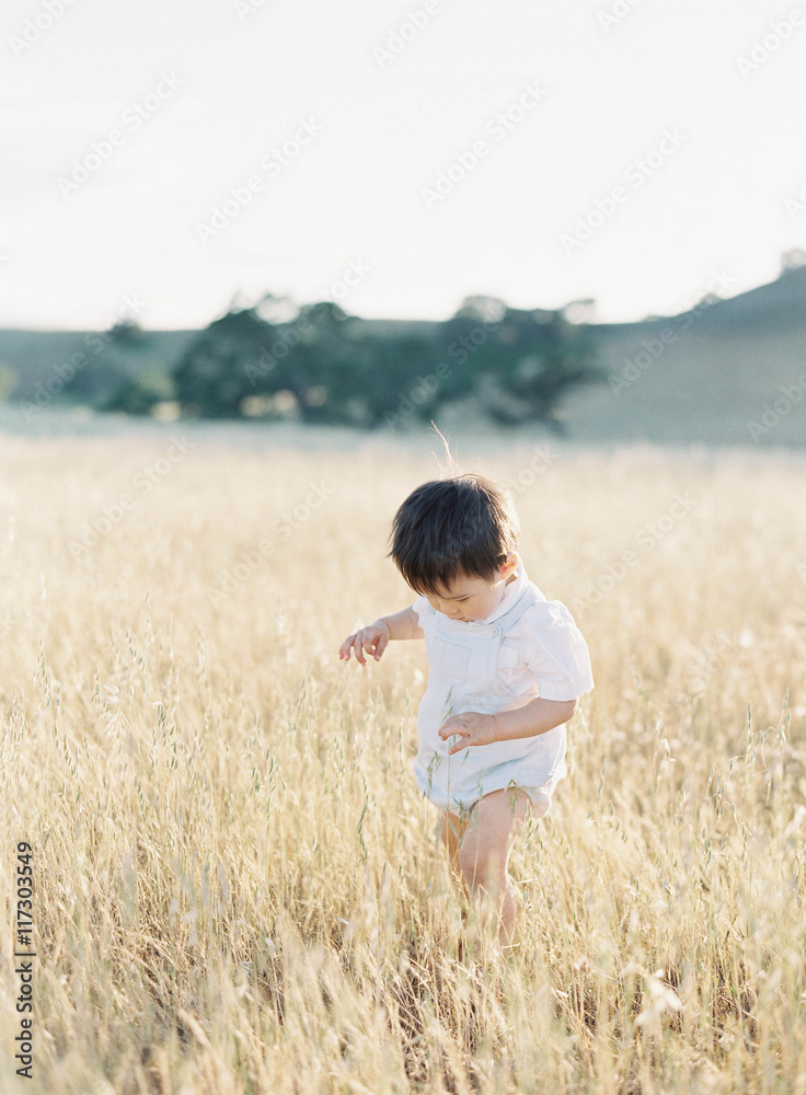Baby boy walking in field 
