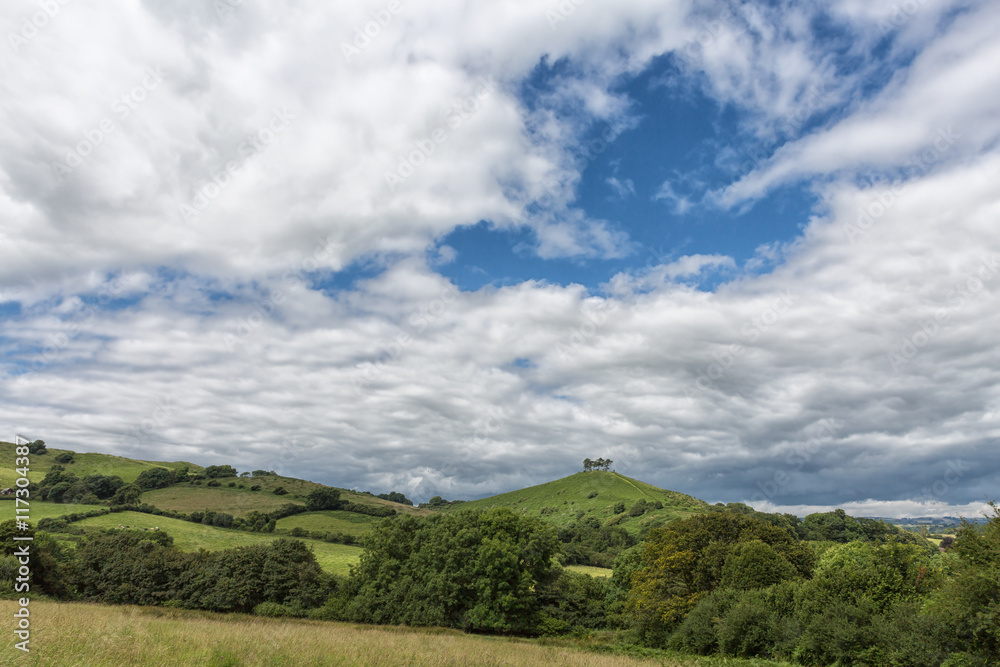 Obraz premium Colmers Hill a well known landmark in West Dorset, England.
