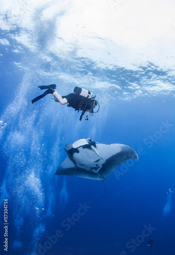 Manta Ray