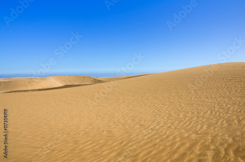 Dunes of Maspalomas