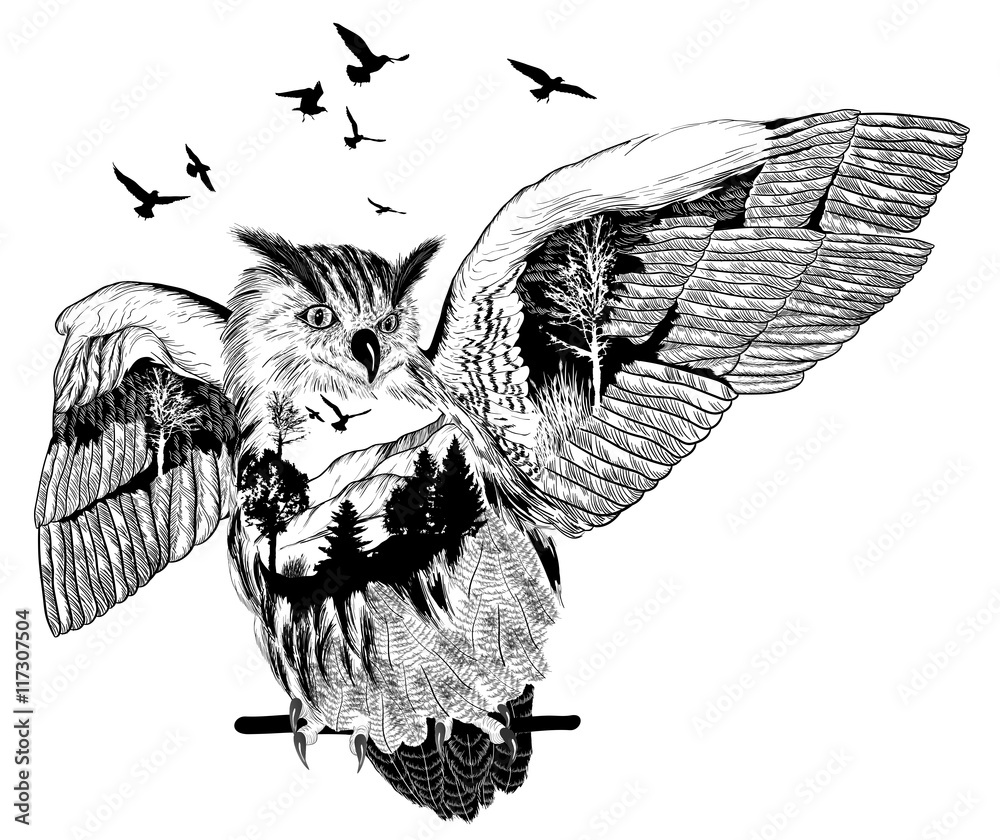 Obraz premium Hand drawn owl for your design, wildlife concept