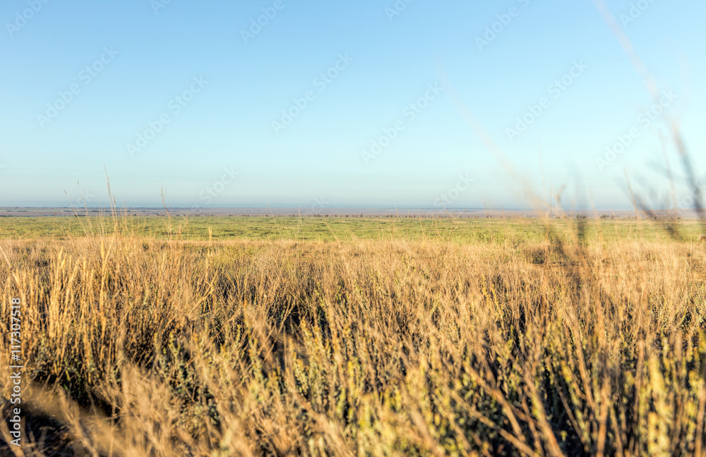 Boundless lifeless desert