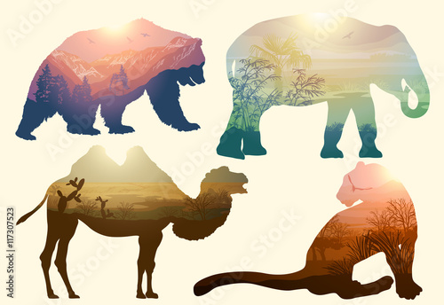 Bear, elephant, camel and Leopard for your design, wildlife conc