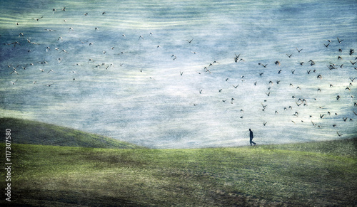 Abstract image of person on rolling landscape and flock of birds