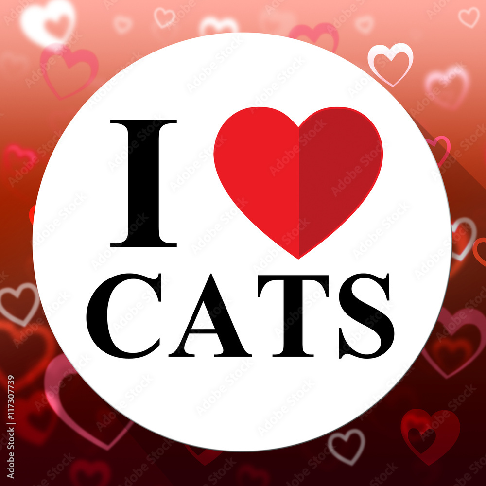 Love Cats Indicates Domestic Fabulous And Like Cat Love Cats Indicates Domestic Fabulous And Like Cat