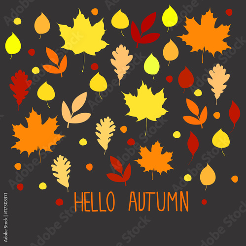Hello autumn.  Background with autumn leaves. Vector illustration