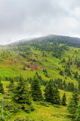 Fototapeta Naklejka Na Ścianę i Meble -  Picturesque Carpathian mountains landscape. Chornogora ridge, Ukraine, Europe.