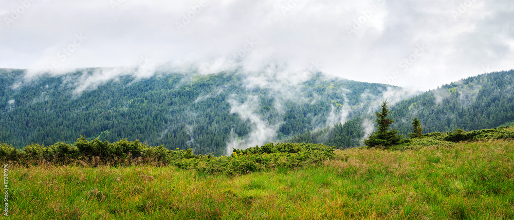 Panorama of Picturesque Carpathian mountains landscape. Chornogora ridge, Ukraine
