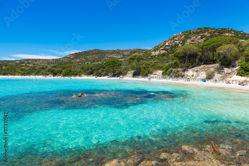 Fototapeta Naklejka Na Ścianę i Meble -  Palombaggia beach in Corsica Island in France