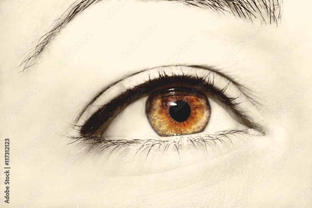 Obraz premium Beautiful insightful look brown woman's eyes