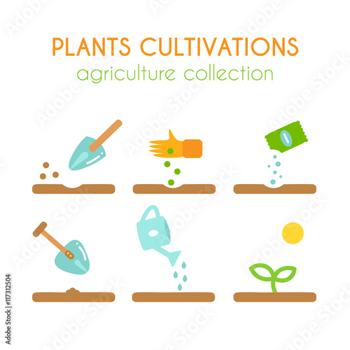 Vector plant cultivation. Sowing and planting process infographic design. Flat argiculture collection.