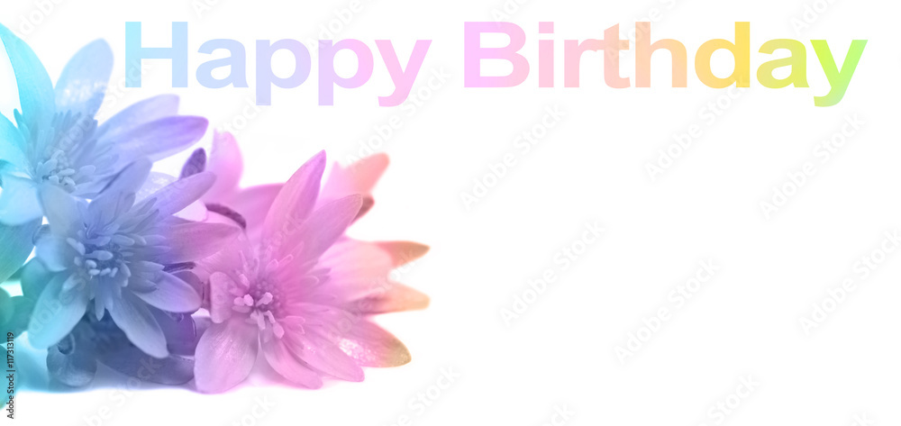 Say Happy Birthday with Flowers - soft pastel rainbow colors applied to close up of daisies in left corner and HAPPY BIRTHDAY words above with copy space