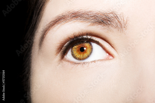 Beautiful insightful look brown woman s eye