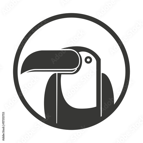 toucan bird brazilian icon