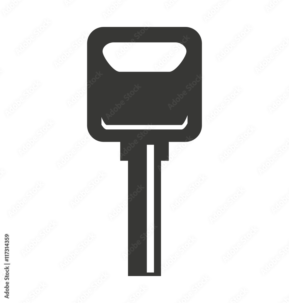 car vehicle keys icon