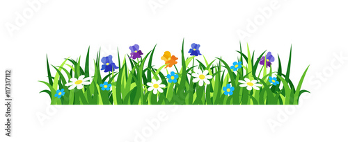 Grass vector illustration.