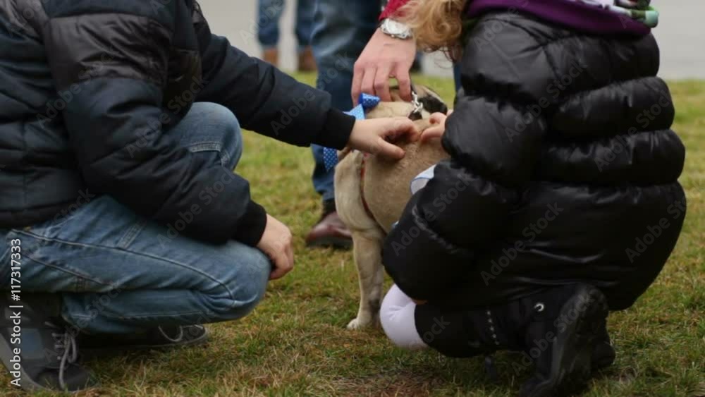 Kind children carefully petting nice fawn pug on leash outdoors, love for animal Kind children carefully petting nice fawn pug on leash outdoors, love for animal