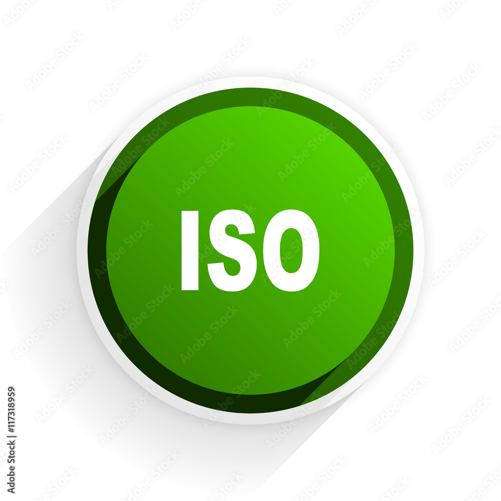 iso flat icon with shadow on white background, green modern design web element