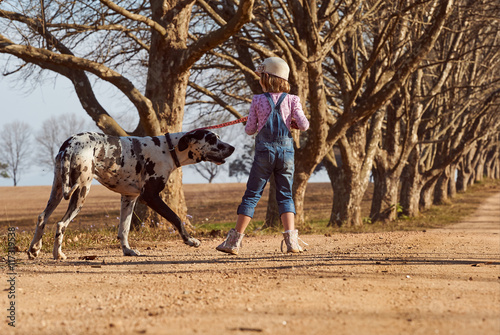 Young girl child playing walking her dog great dane