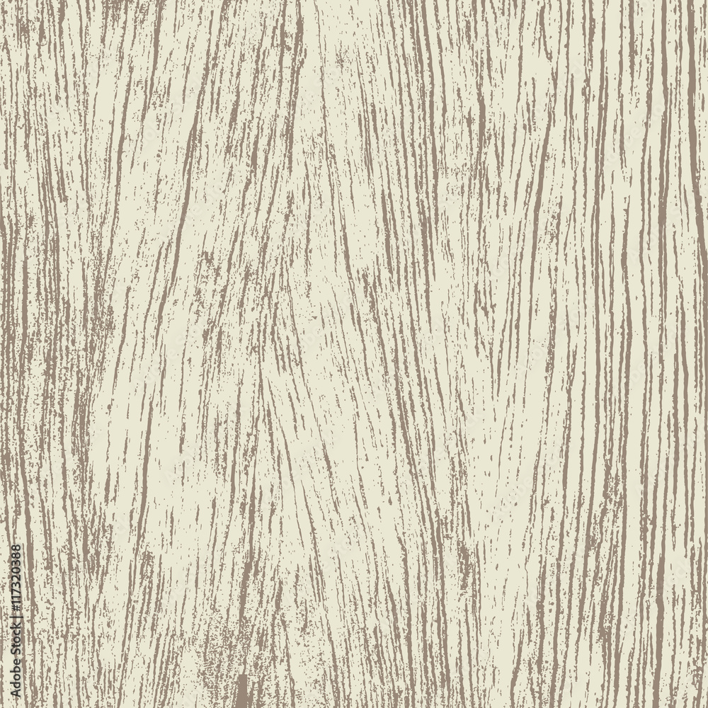 Obraz premium Wood texture background - Vector