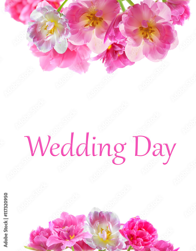 Fototapeta premium Vintage floral card. Pink tulip