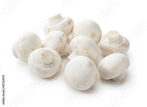 fresh champignon mushrooms isolated on white