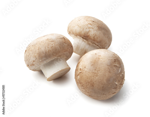 fresh champignon mushrooms isolated on white