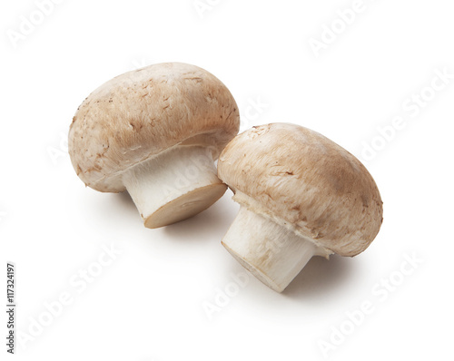fresh champignon mushrooms isolated on white