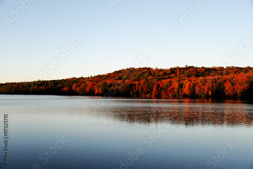 autumn colorful forest reflecting in tranquil lake in the morning
