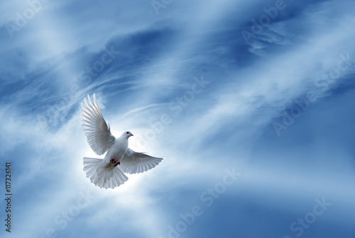 Beautiful Dove symbol of faith