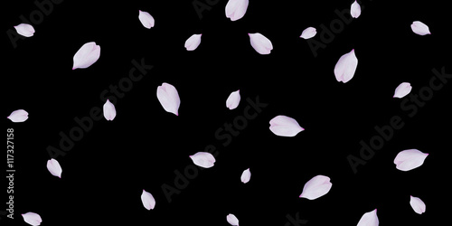 花吹雪　春　バナー