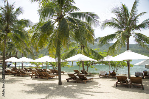 sun loungers and parasols on the beach with palm