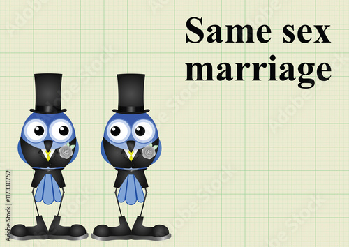 Male same sex marriage