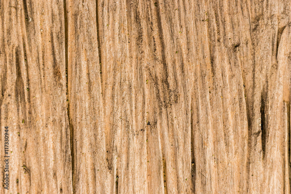 Fototapeta premium wood texture