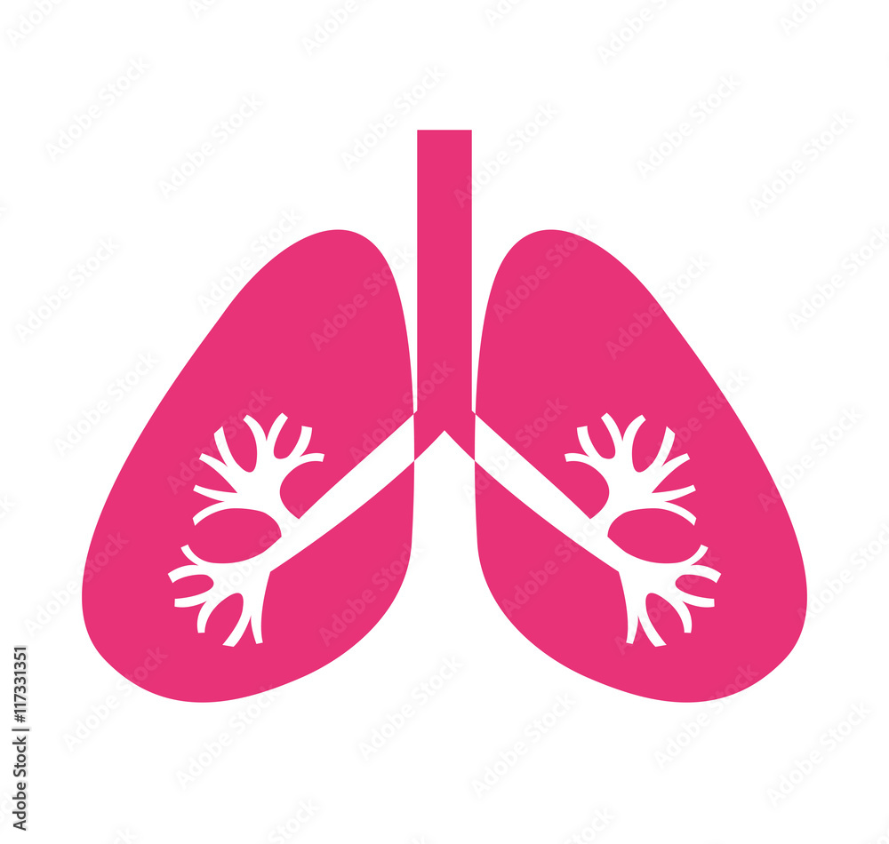 lungs organ human isolated icon lungs organ human isolated icon