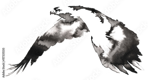 black and white monochrome painting with water and ink draw eagle bird illustration photo