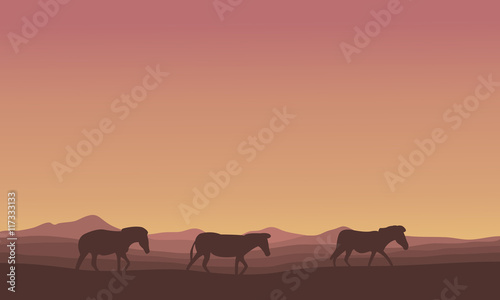 Silhouette of Zebra lined in desert