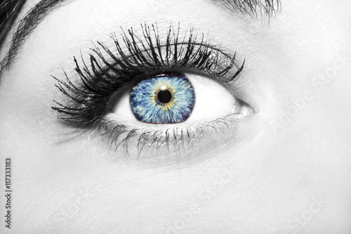 Woman blue eye with extremely long eyelashes